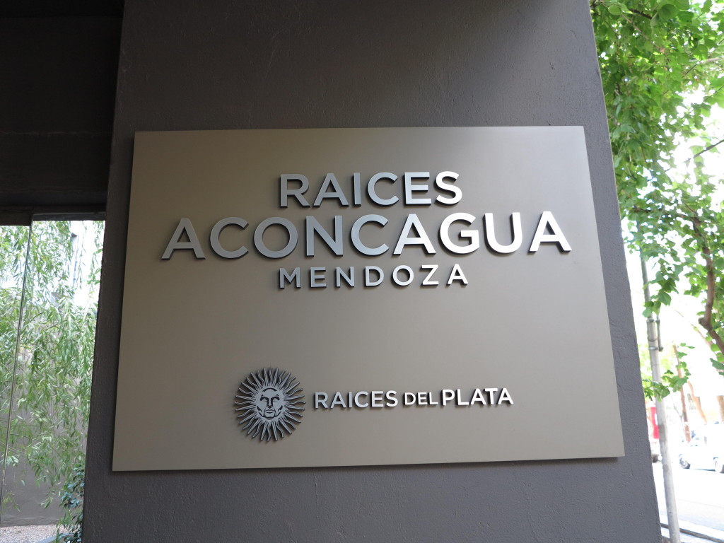 Hotel Raices Aconcagua - Mendoza